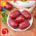 Red Jujube, frische Jujube Obst, Bio Jujube